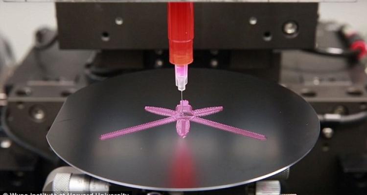 30908a4a00000578-0-scientists_have_created_a_technique_for_printing_structures_pict-a-68_1453742842225.jpg