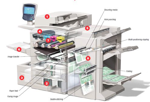 central_copy-495x337.jpg